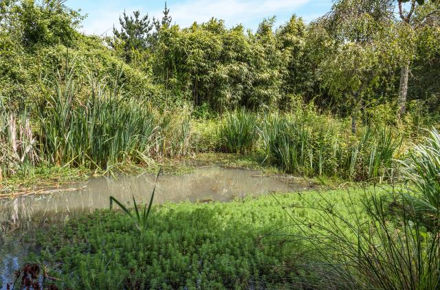 cherry tree auctions cherry tree cottage 6 the green st erth hayle cornwall countrywide property auctions cherry tree auctions cherry tree cottage 6 the green st erth hayle cornwall countrywide property auctions
