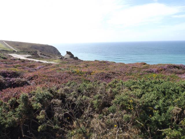 Land At Southview Farm, Jollys Lane, Porthtowan, Truro, Cornwall TR4 8AX