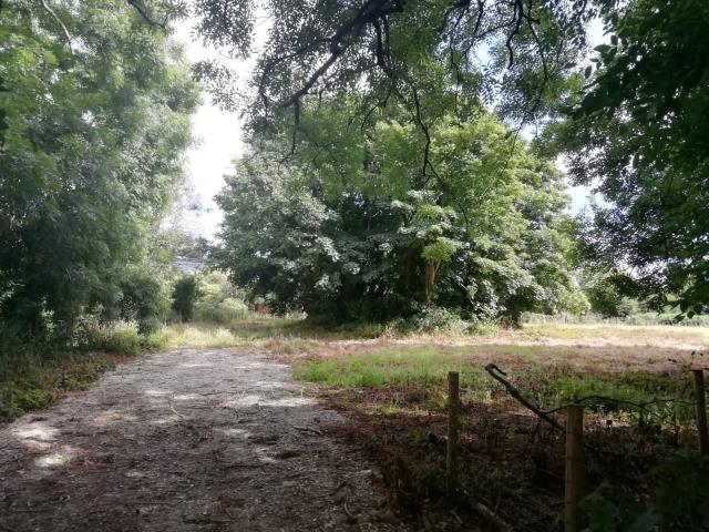 Land At New Road, St. Hilary, Penzance, Cornwall TR20 9EA