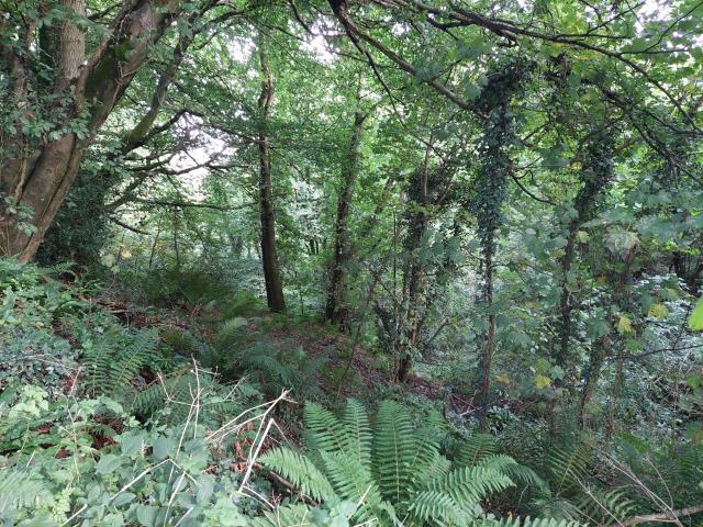 Land Known As Leat Cottage, Ashbrittle, Wellington, Somerset TA21 0LH