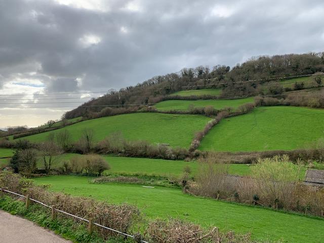 Woodsman Cottage, Branscombe, Seaton, Devon EX12 3DE