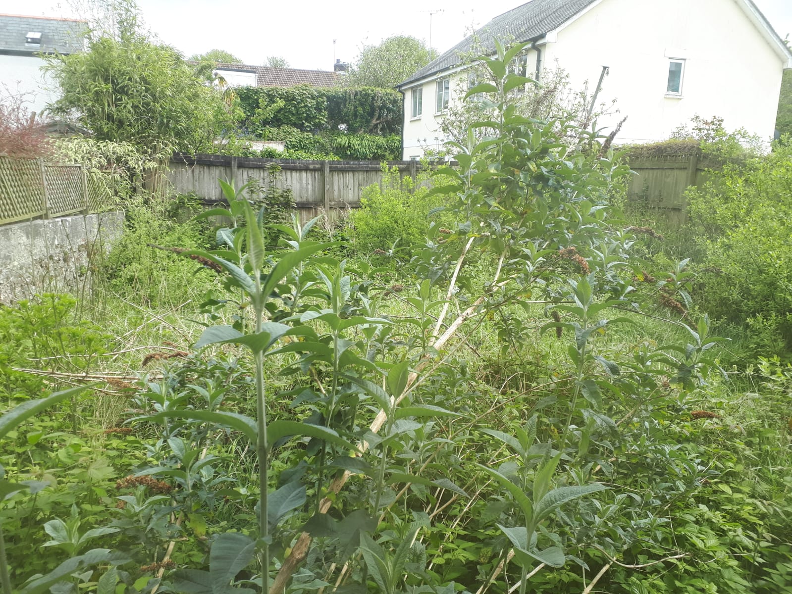 11 St. Marys Road, Bodmin, Cornwall Countrywide Property Auctions